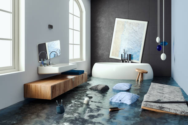 Best Water damage repair service  in Clarksburg, MD