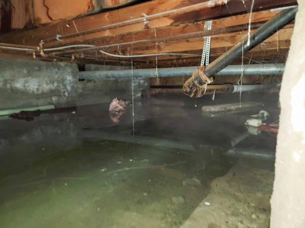 Best Water damage mitigation services  in Clarksburg, MD