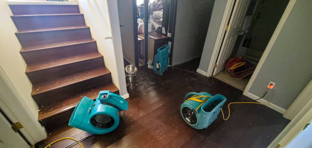 Best Water damage cleanup near me  in Clarksburg, MD
