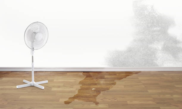 Best Flood restoration services  in Clarksburg, MD