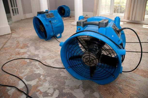 Best Commercial water damage restoration  in Clarksburg, MD