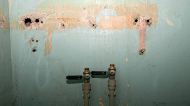Best Ceiling water damage repair  in Clarksburg, MD